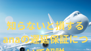 ANA遅延保証
